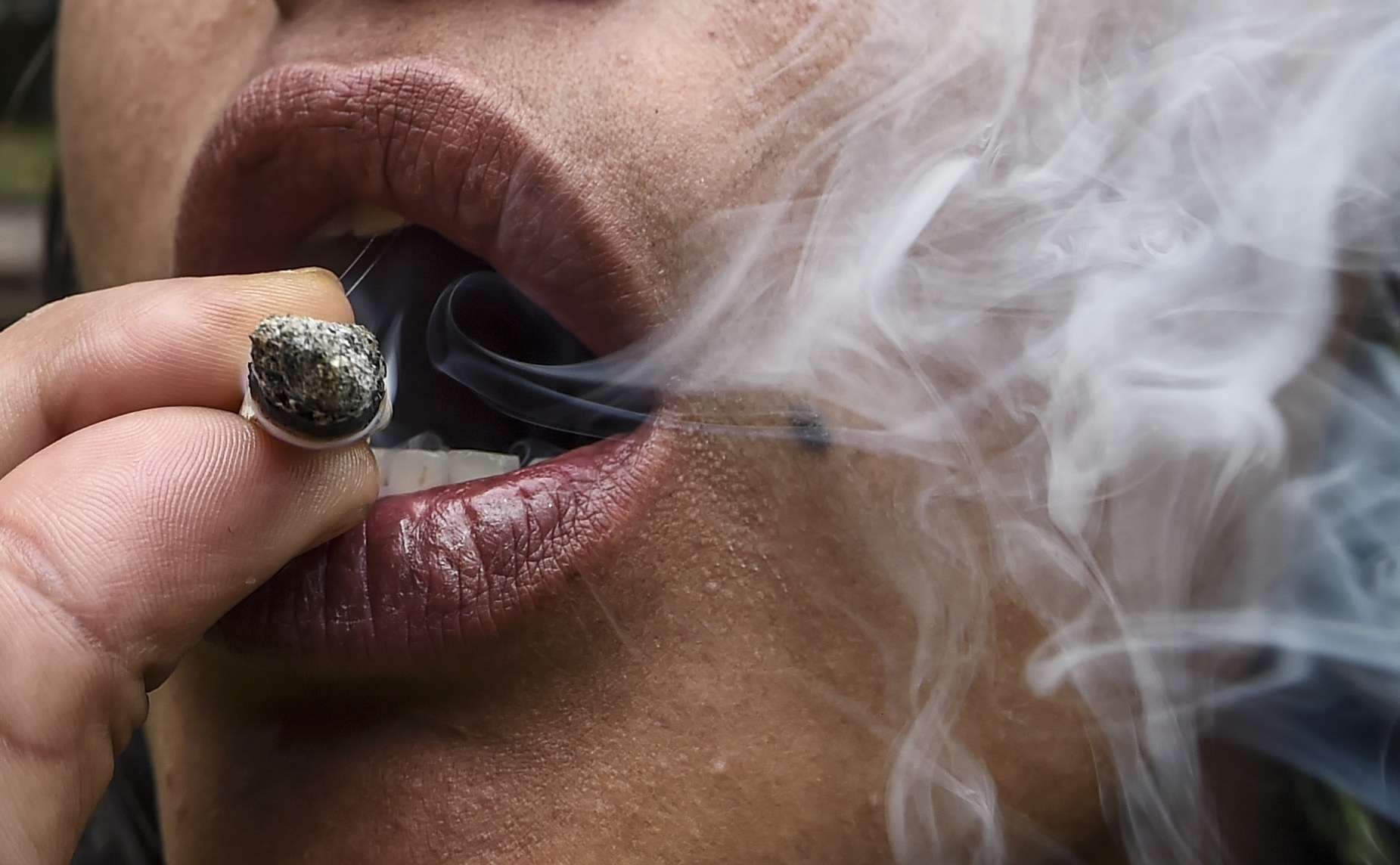 The Growing Role of Cannabis in Lifestyle and Wellness Conversations