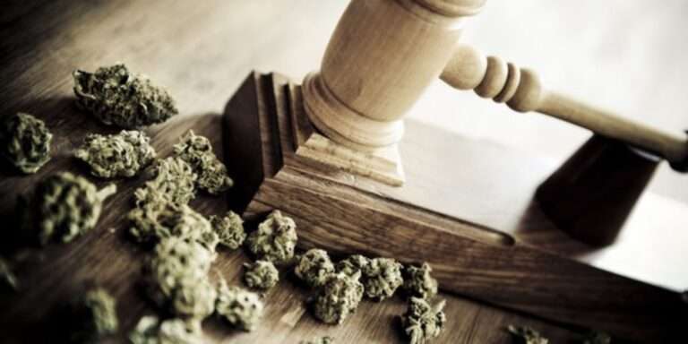 marijuana-buds-with-gavel-laws-legality cannabis nj cannabis law cannabis conference