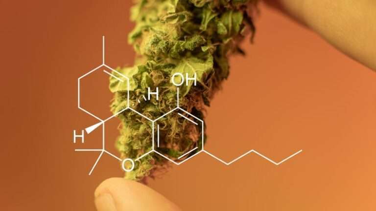 marijuana 4/20 culture