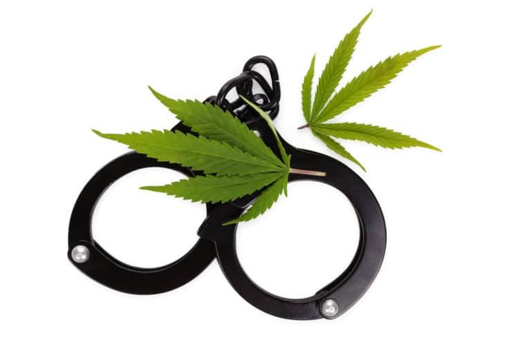 cannabis prosecutions, NJ marijuana law decriminalization portugal