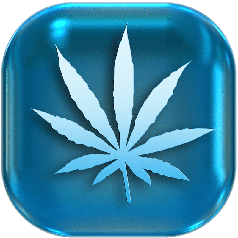 Cannabis Button 2