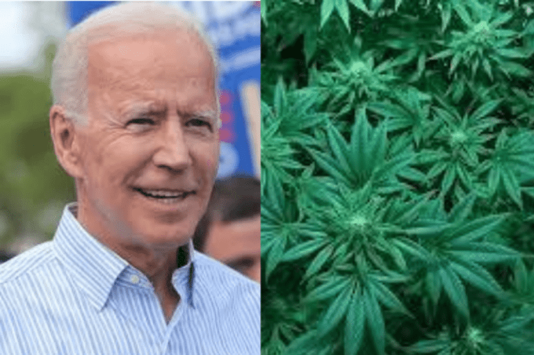 cannabis poll, joe biden