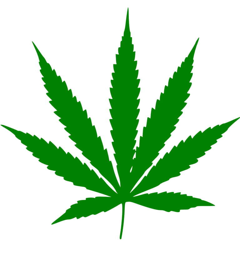 cannabis victories cannabis referendum NJ New Jersey