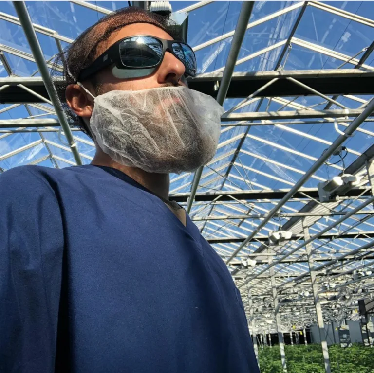 cannabis crop TerrAscend Apothecarium