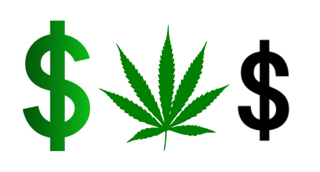 Minority Representation NJCBA Garden State Dispensary Ayr Wellness MSO