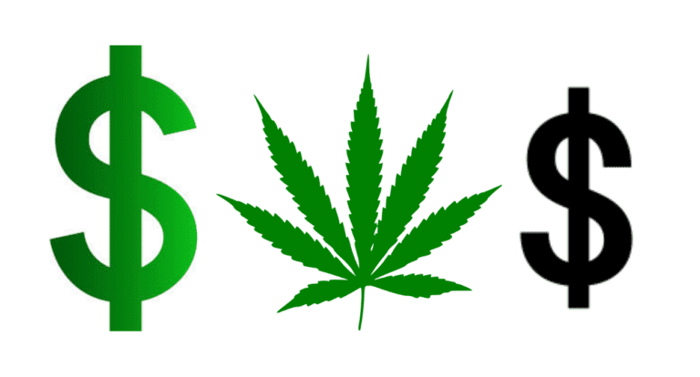 Minority Representation NJCBA Garden State Dispensary Ayr Wellness MSO