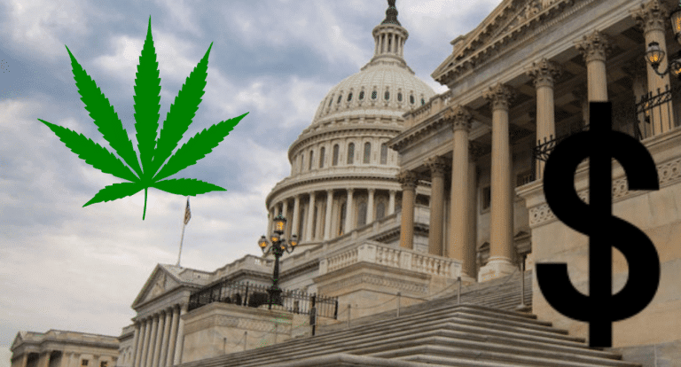 cannabis banking