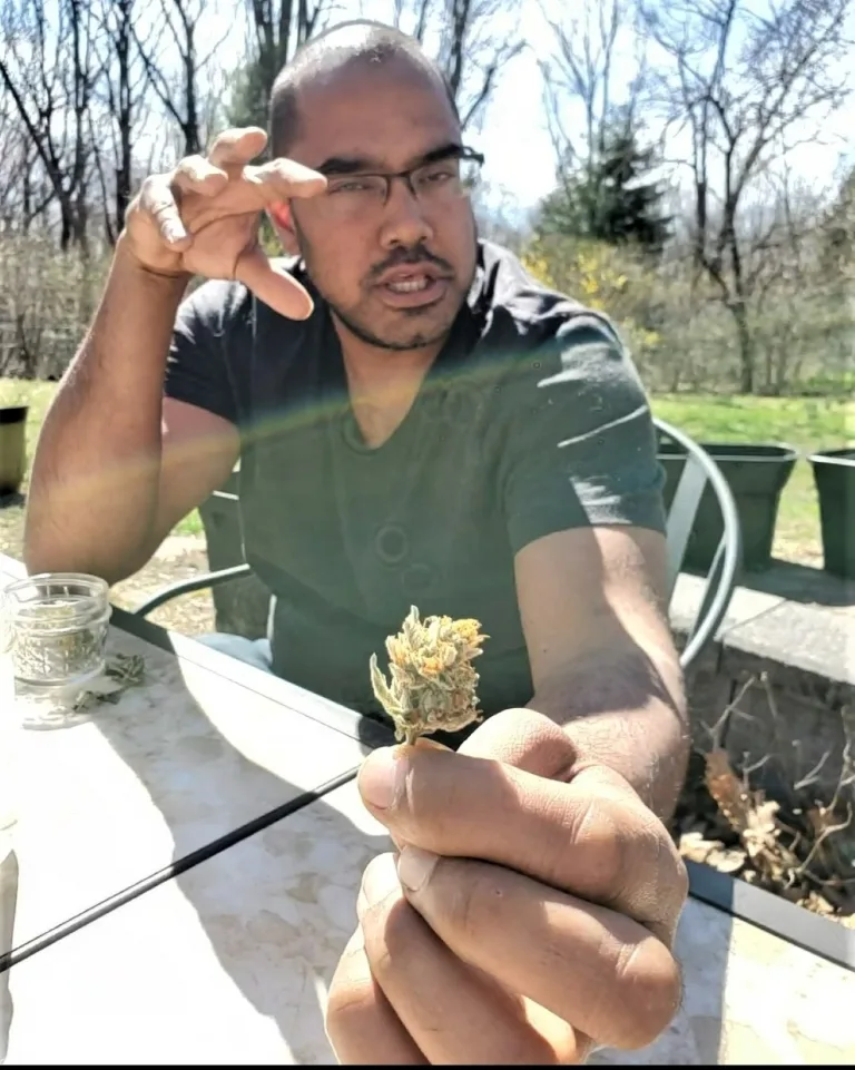 Craft Cannabis 2 micro legacy grower