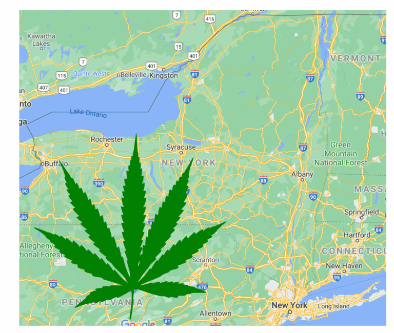 New York Cannabis Control Board NYC MRTA, homegrow legalization discussed