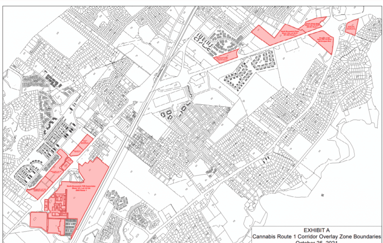cannabis license applicants NJ many awarded conditional but few annual state regulations