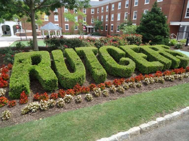 Rutgers University Cannabis courses medical cannabis research policing