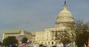 Cannabis Misdemeanors Mushrooms, expunge congress psychedelics intoxicating hemp ban