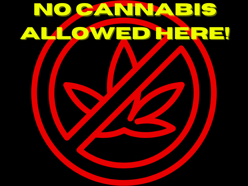 no cannabis allowed here New Jersey Cannabis Approval towns