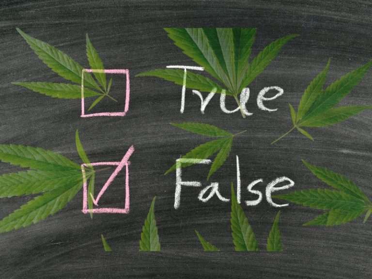 true false raw papers lies