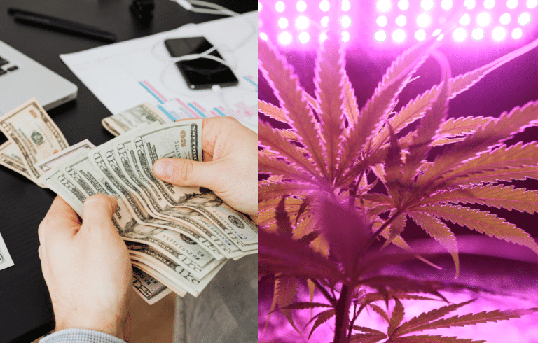 Cannabis Social Equity Investment Fund cannabis entrepreneurs