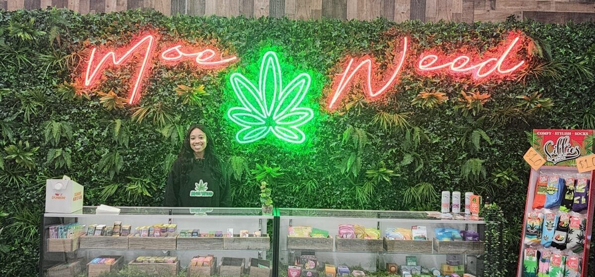 Moe Weed CBD shop Trenton Cannabis