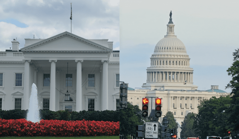 federal government should legalization cannabis recreationally feds