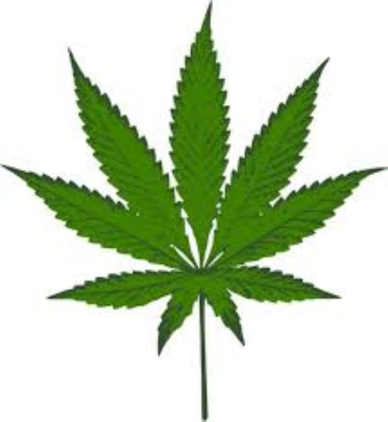 cbd mints