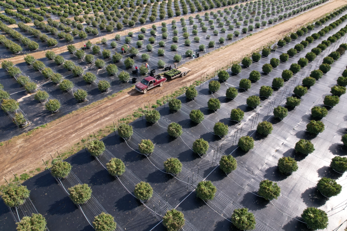 Harvest at Grasshopper Farms Galloway NJ