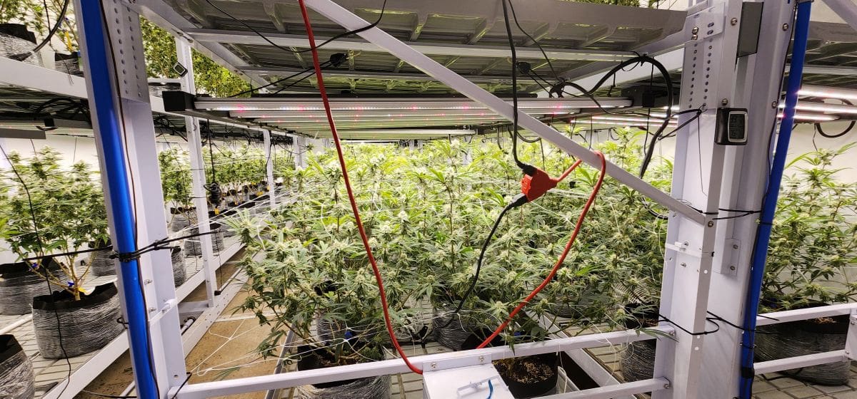 grow room