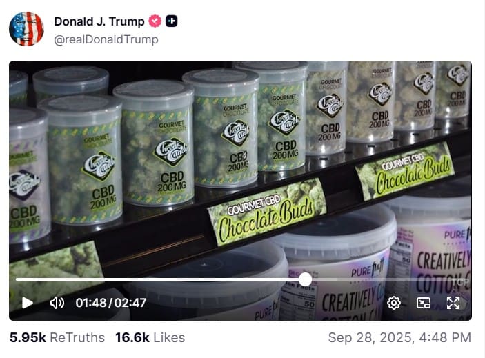 President Donald Trump Reposts Video Endorsing Hemp-Derived CBD for Seniors